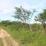 Al do Cruzero (do lado ueste do terreno)