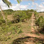 Vista do terreno a partir do sitio Lagoa (Maragojipe)
