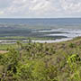 Vista do terreno a partir do sitio Lagoa (Maragojipe)