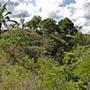 Vista do terreno a partir do sitio Lagoa (Maragojipe)