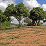 Vista do terreno a partir do sitio Lagoa (Maragojipe)